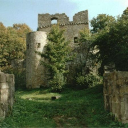 Blockhaus Stamsried Villa Dış mekan fotoğraf