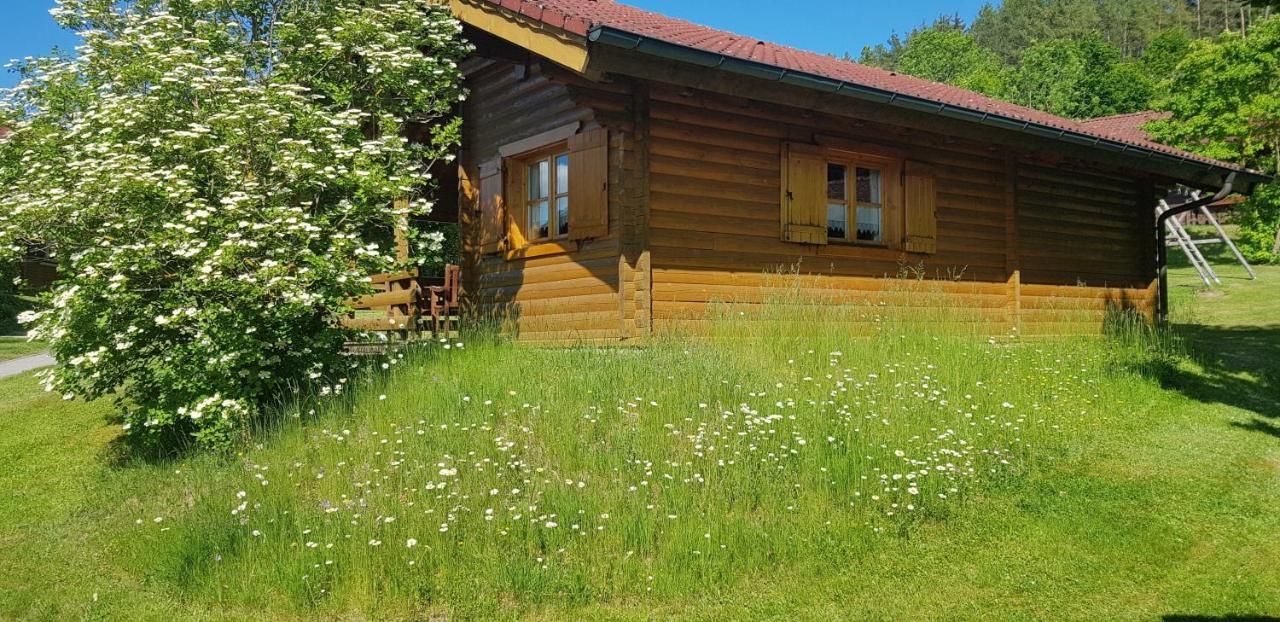 Blockhaus Stamsried Villa Dış mekan fotoğraf