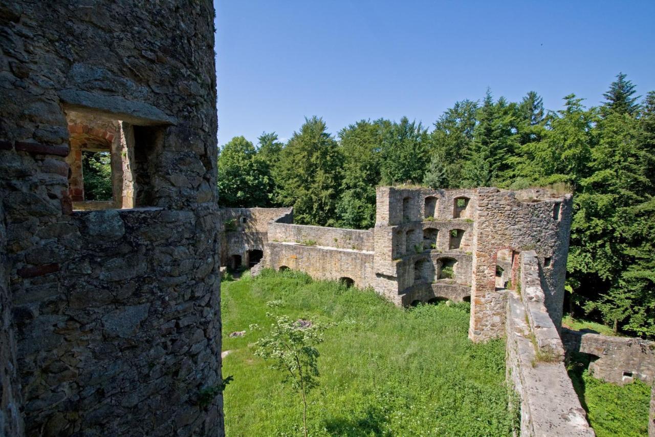 Blockhaus Stamsried Villa Dış mekan fotoğraf